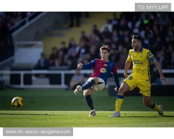 西甲联赛的精彩进球回放与最佳集锦