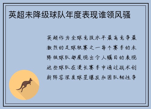 英超未降级球队年度表现谁领风骚